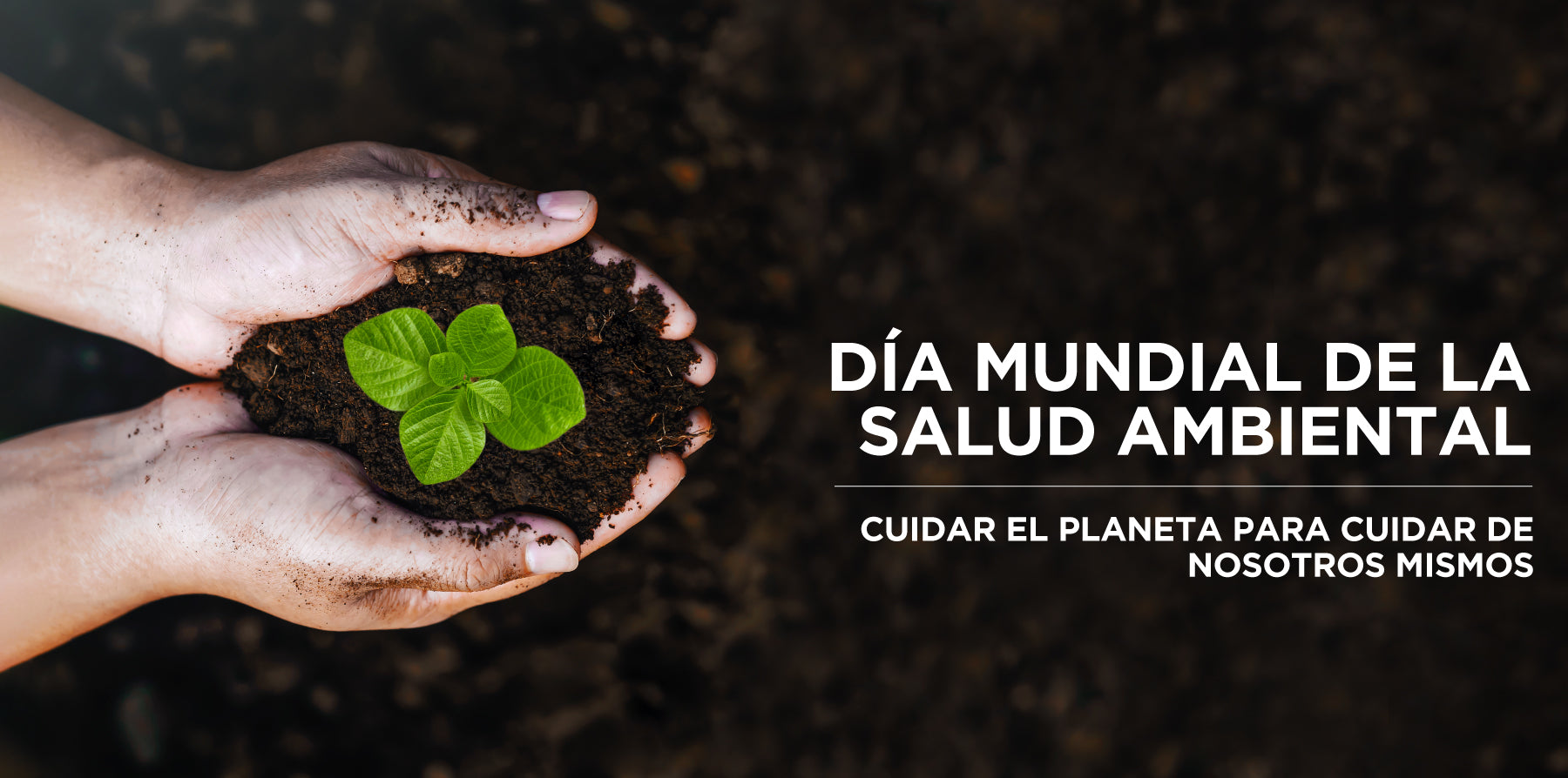 Día-Mundial-de-la-Salud-Ambiental Diane & Geordi Colombia