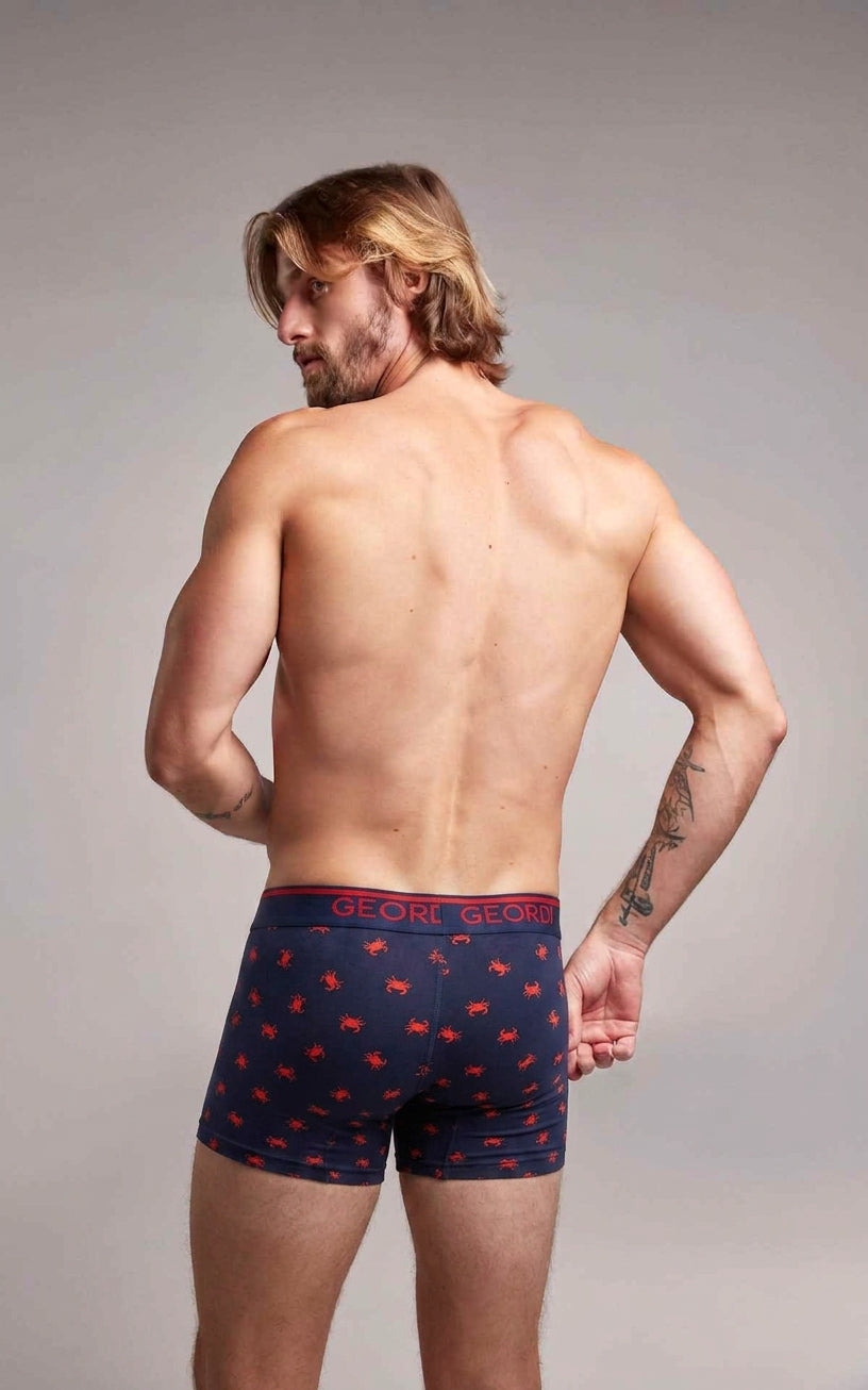 Imagen de diapositiva