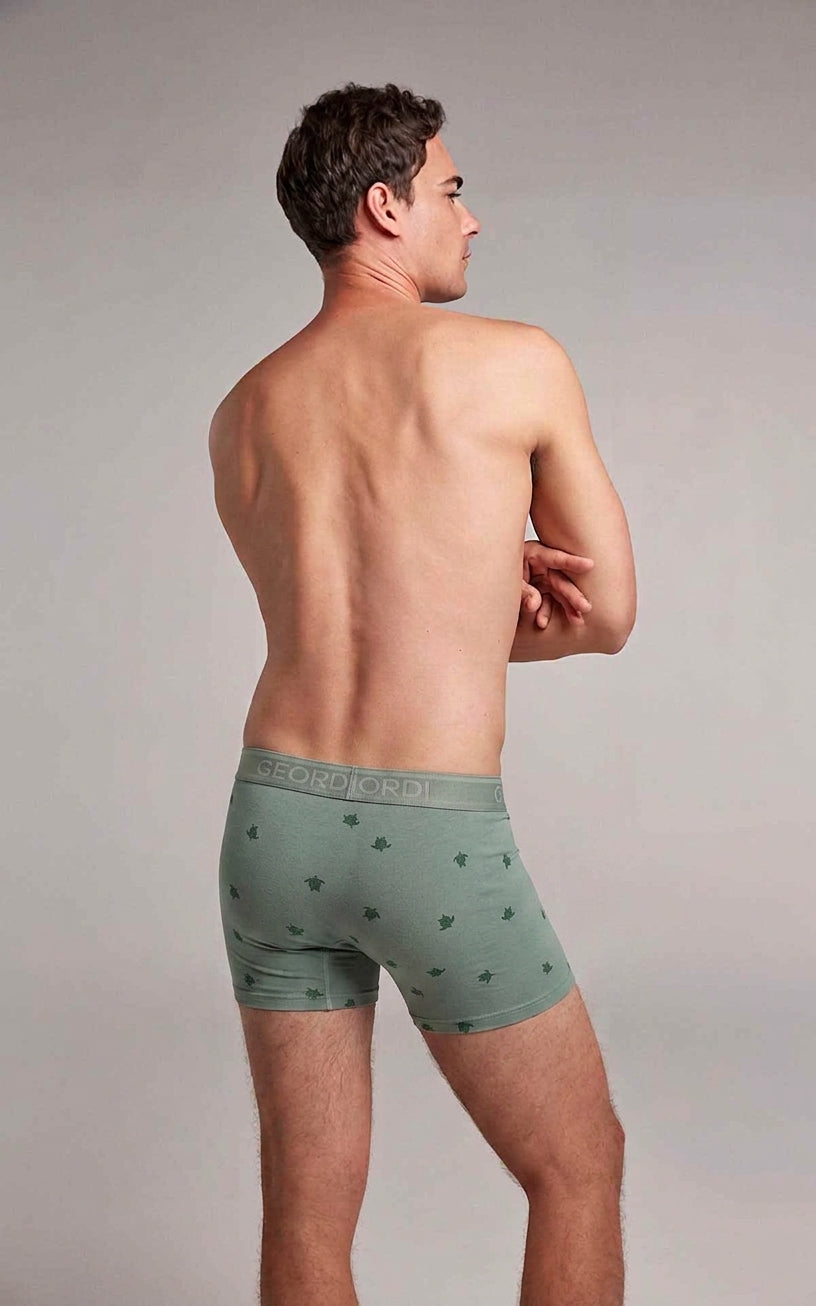 Imagen de diapositiva