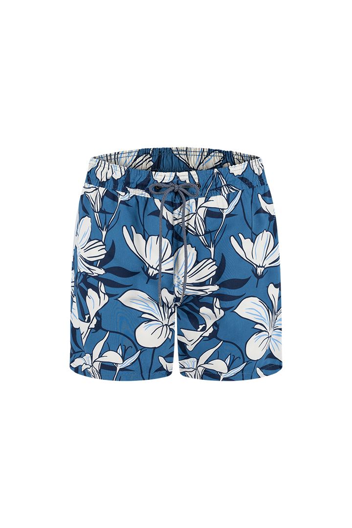Bermuda (GD62T01)