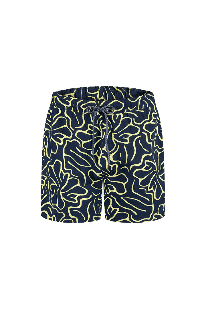 Bermuda (GD62T02)