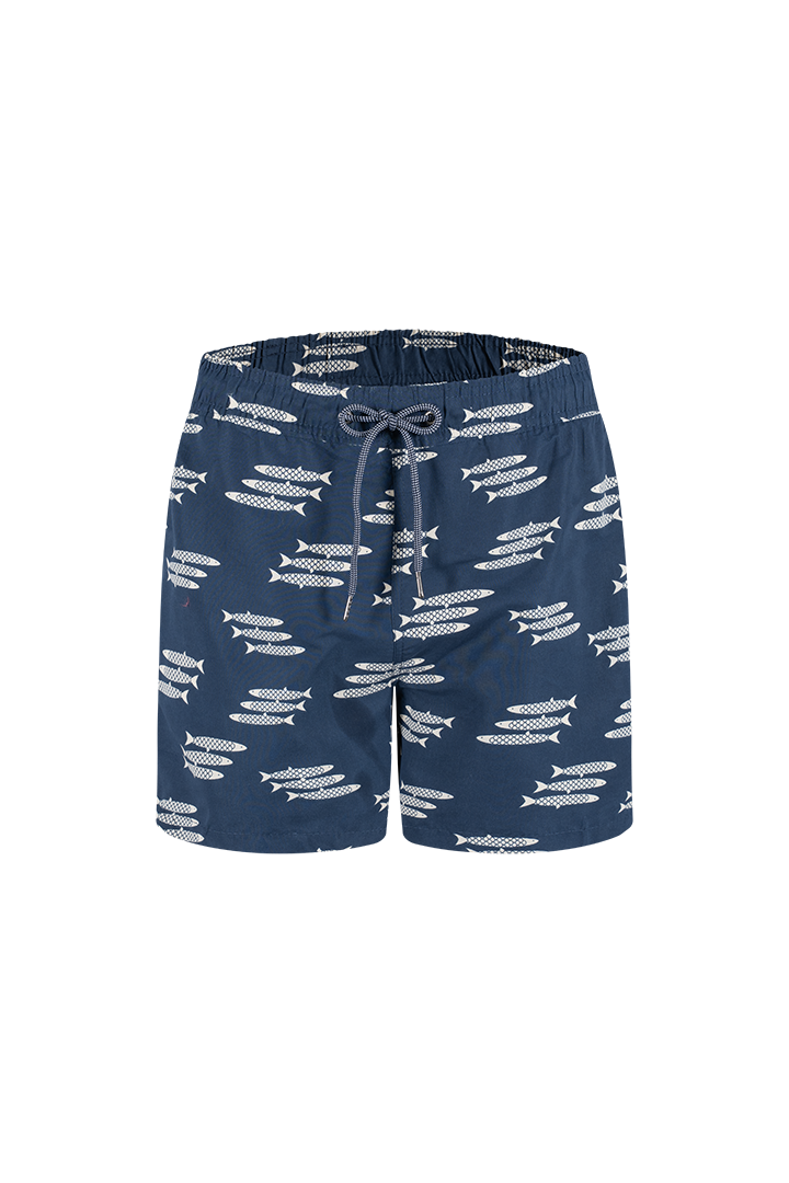 Bermuda (GD62T12)