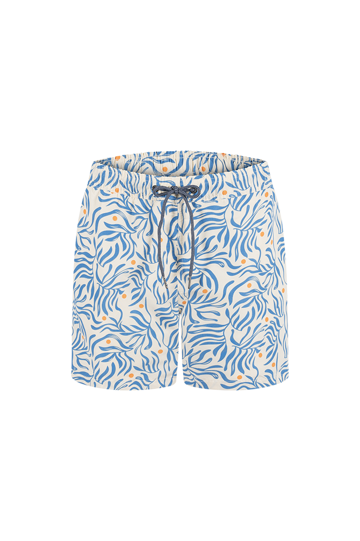 Bermuda (GD62T15)