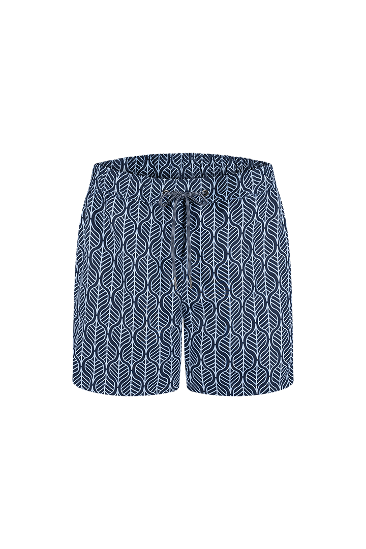 Bermuda (GD62T19)