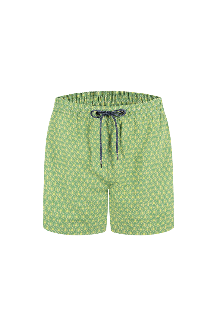 Bermuda (GD62T23)