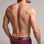 Imagen de diapositiva