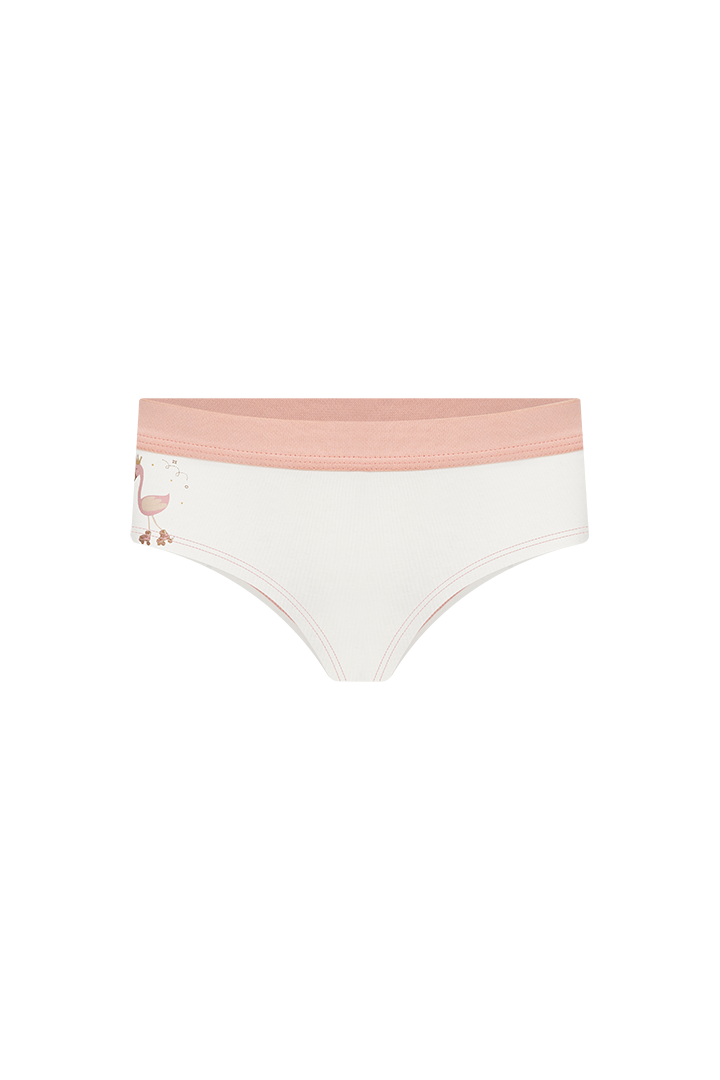 Panty cachetero (IA02B5)