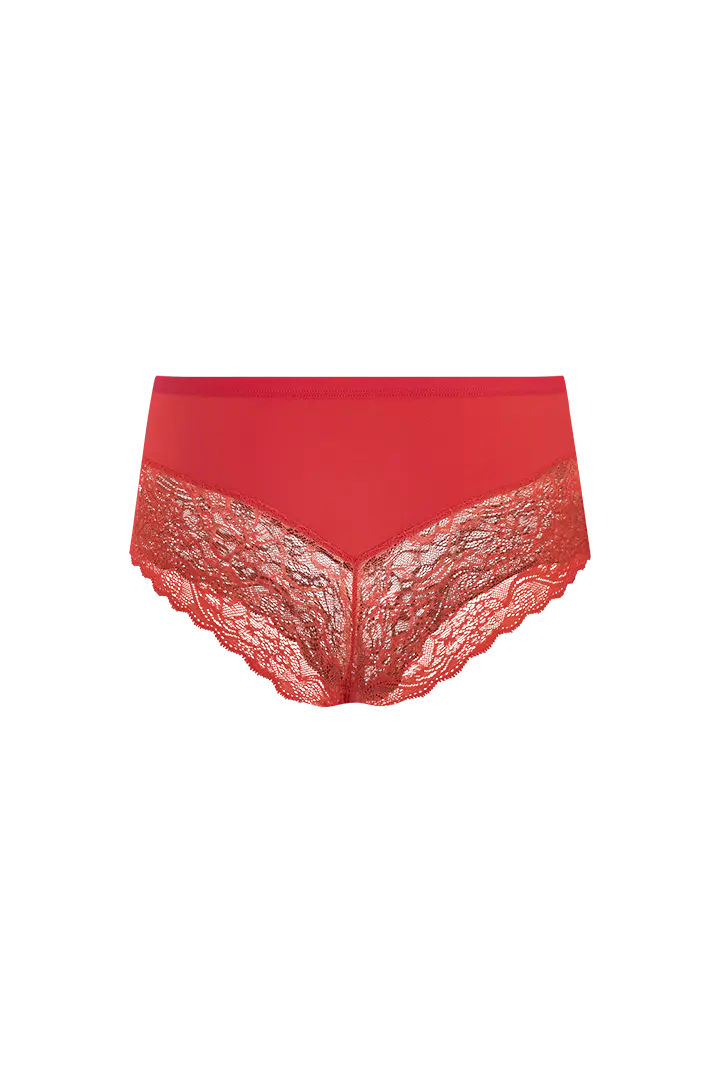 Panty cachetero Diane & Geordi en microfibra y encaje