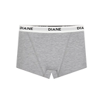 Imagen de diapositiva