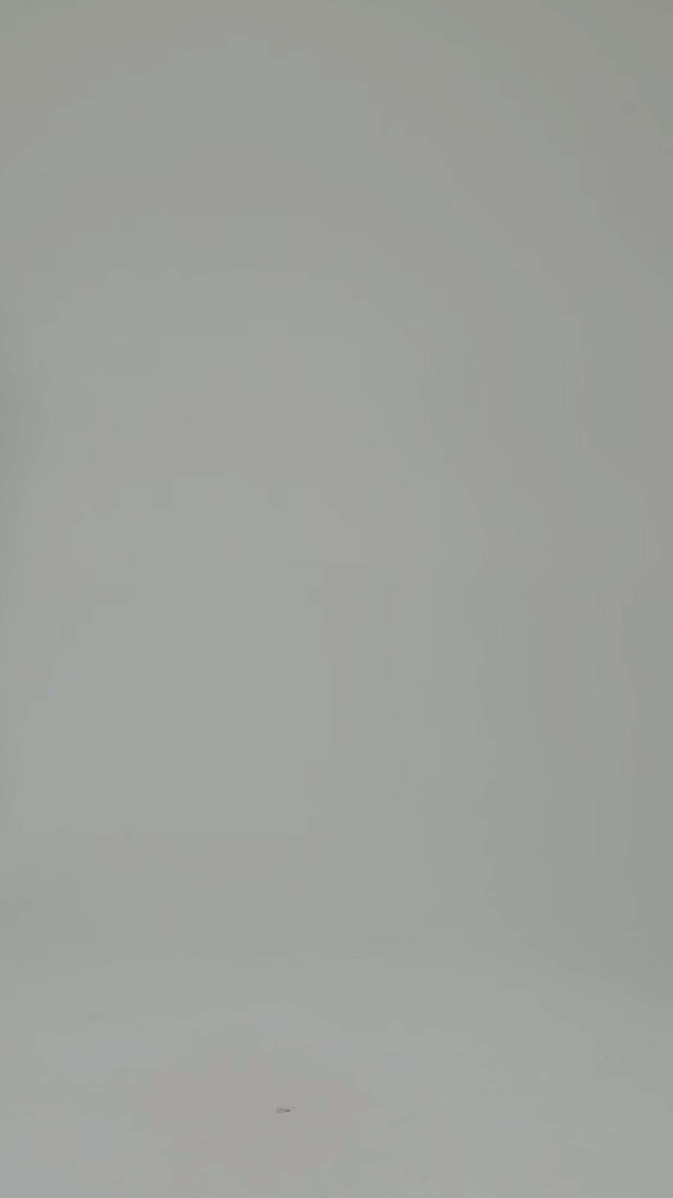 Top seamless (0S2005)