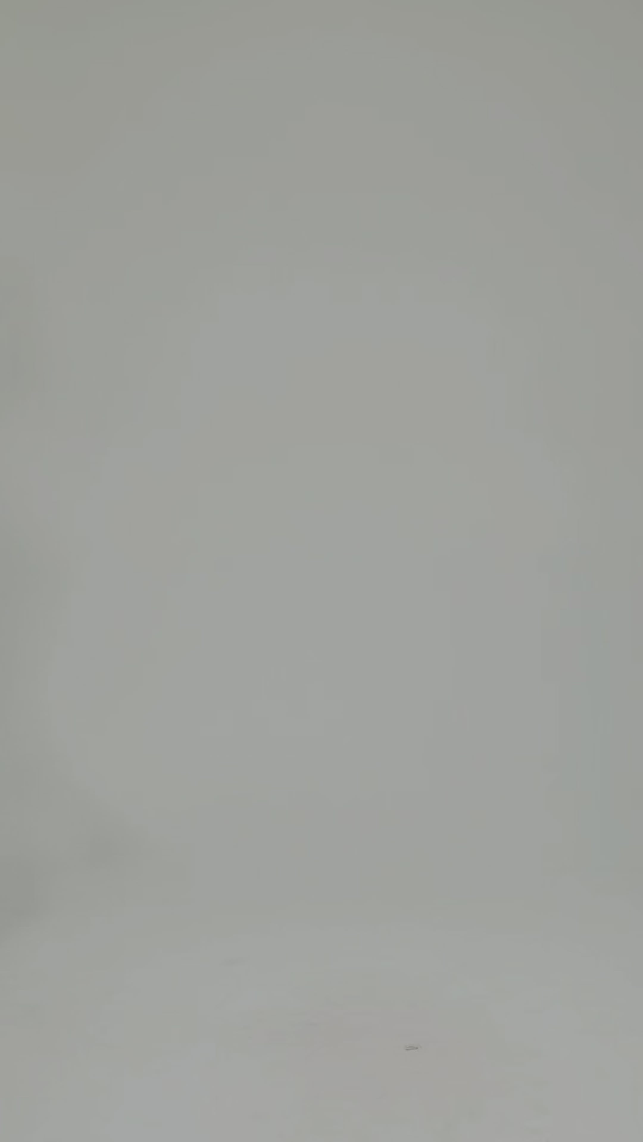 Imagen de diapositiva